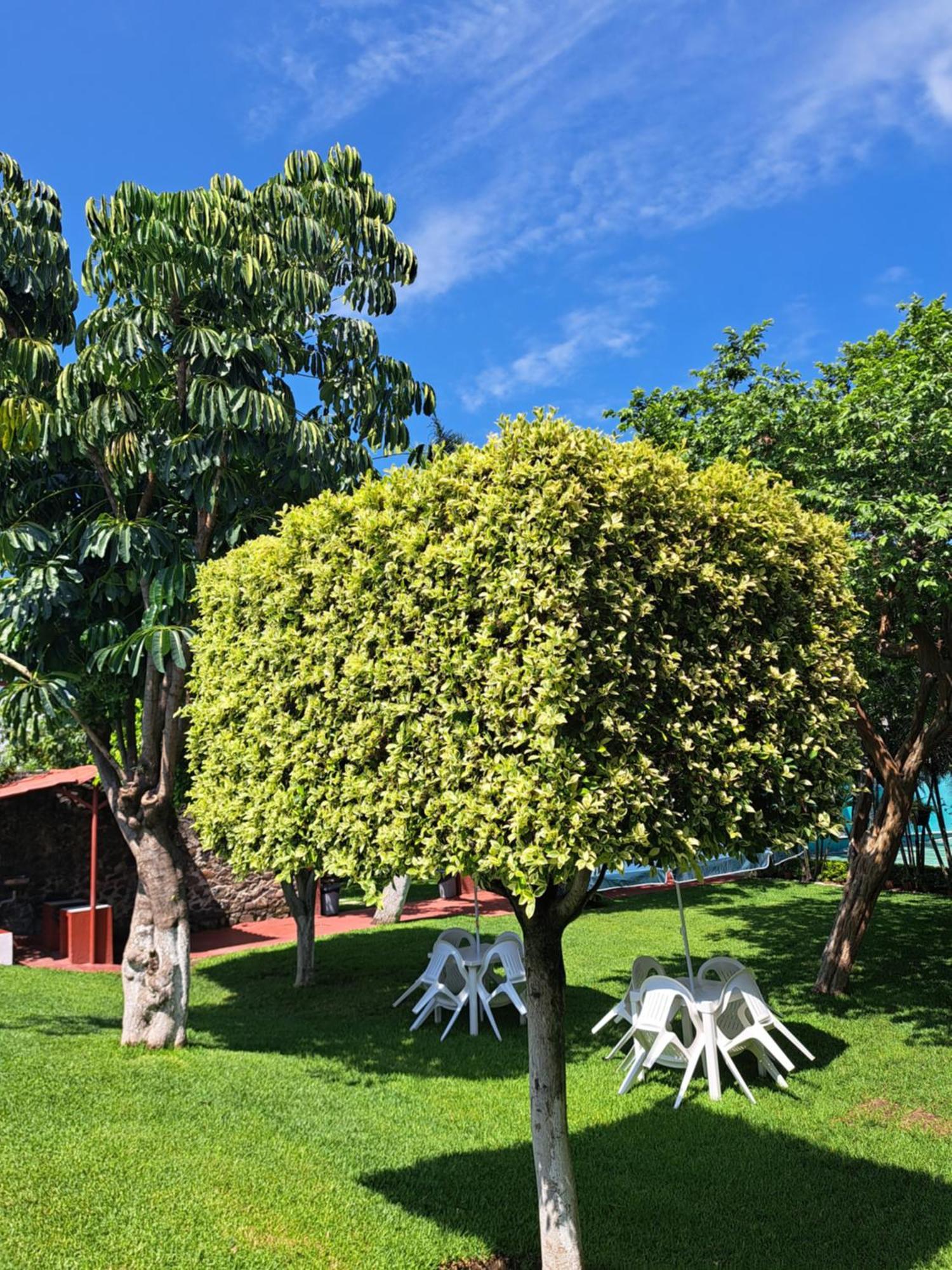 Quinta Paraiso 3*